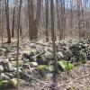 Wide stone walls along the Indian Hill Loop Trail - Photo by Daniel Chazin