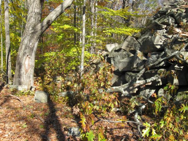 Blue trail Sylvan Glen near rock bridge