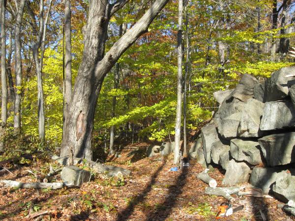 Blue trail Sylvan Glen near rock bridge - after